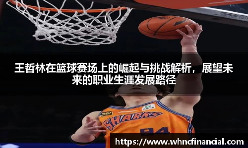 王哲林在篮球赛场上的崛起与挑战解析，展望未来的职业生涯发展路径
